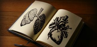Open book with pictures of organs