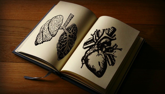 Open book with pictures of organs