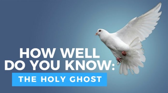holy ghost quiz title graphic with dove