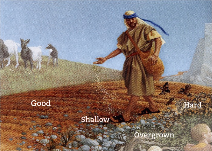 parable of the sower