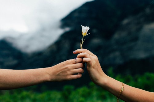 Passing a flower from one hand to another