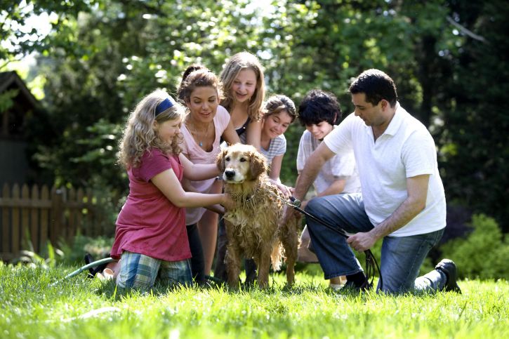 family bonding, family washing dog, FHE