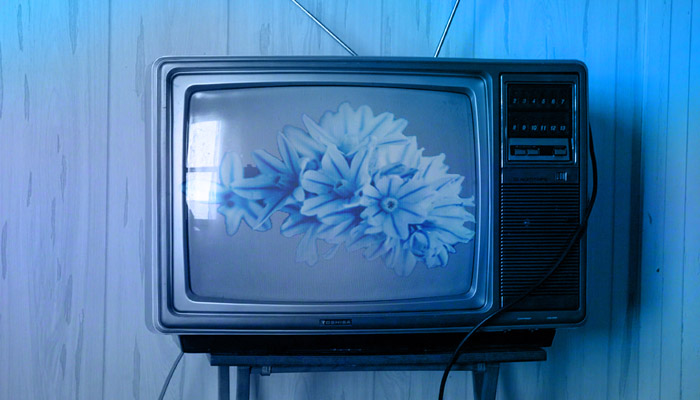 blue television with flowers rumors of war