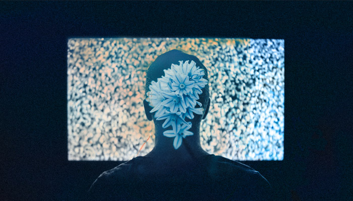 man with flowers on his head watches television static rumors of war