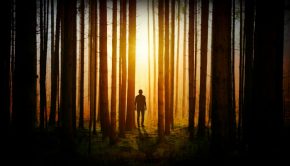 Man walking in dark woods towards light.