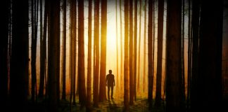 Man walking in dark woods towards light.
