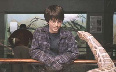 harry potter snake