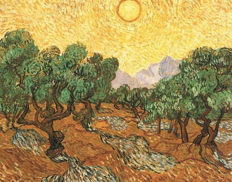 Olive Trees Van Gogh