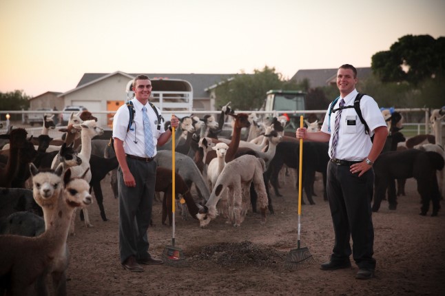 Missionaries with llamas.