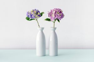 flowers vase
