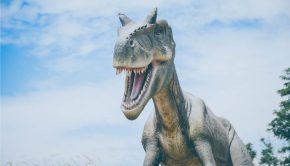 LDS Dinosaurs