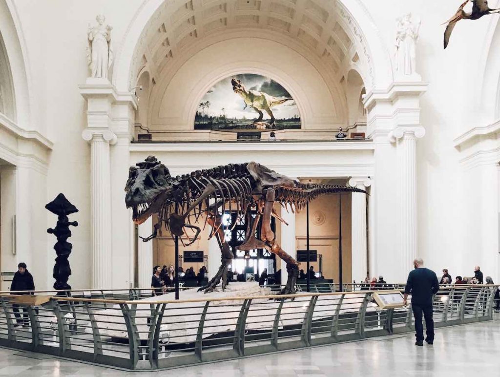 T. Rex Skeleton in Museum | Do Latter-day Saints Believe in Dinosaurs? | Third Hour | Do Mormons Believe in Dinosaurs | Do Mormons Believe in Evolution | Jesus with Dinosaurs