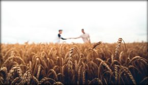 two men in wheat field Mormon