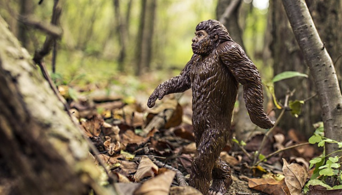 bigfoot rumors urban legends