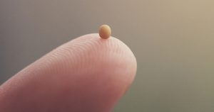 mustard seed on a person's finger