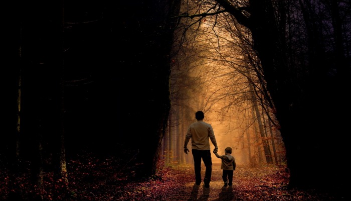 Parenting holding child's hand in forest