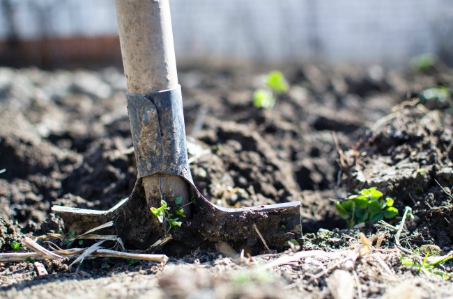 shovel with dirt