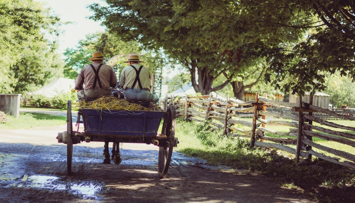 Amish men on waggon