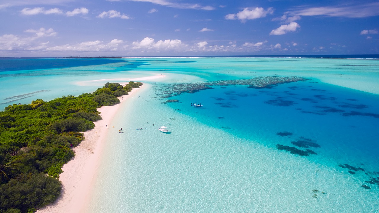 beach shoreline