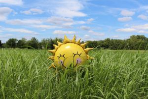 sun balloon in a field