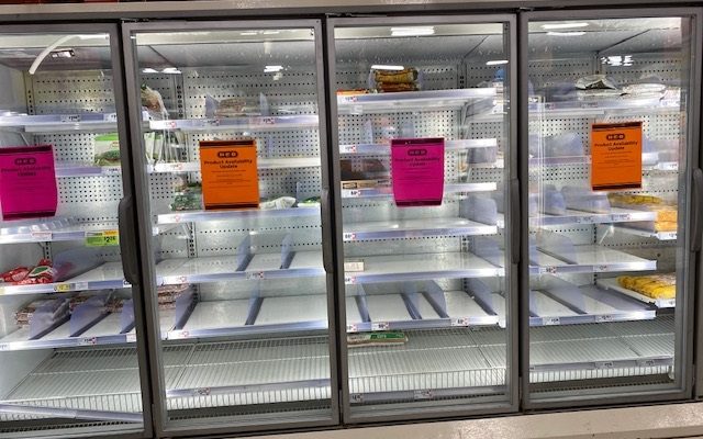 empty frozen food shelves