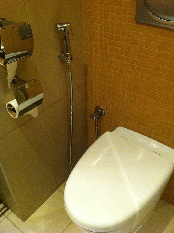 Asian toilet with sprayer