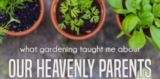 what gardening taught me about our heavenly parents