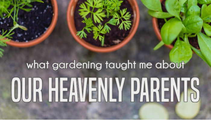 what gardening taught me about our heavenly parents