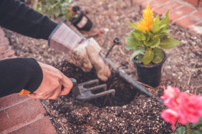 hands using tools to garden flowers