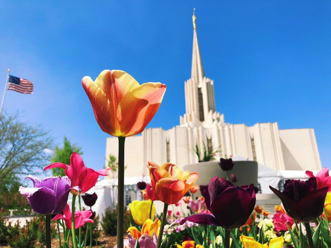 temple grounds with flowers