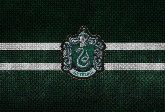 slytherin hogwarts house banner green snake