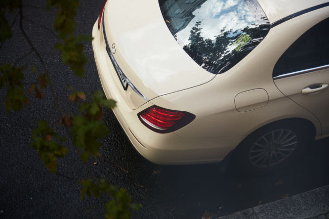 back of a car in a street under a tree