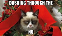 Grumpy cat Christmas