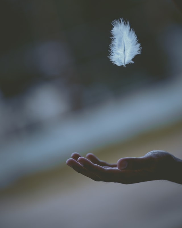 hand catching a feather