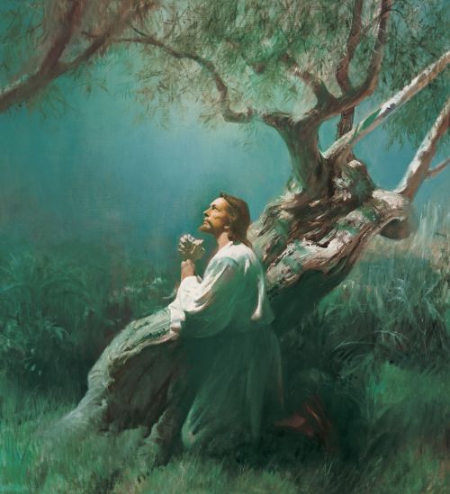 Jesus Christ praying in the Garden of Gethsemane during His atoning sacrifice for us.