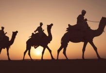 three wise men riding on camels for three kings day