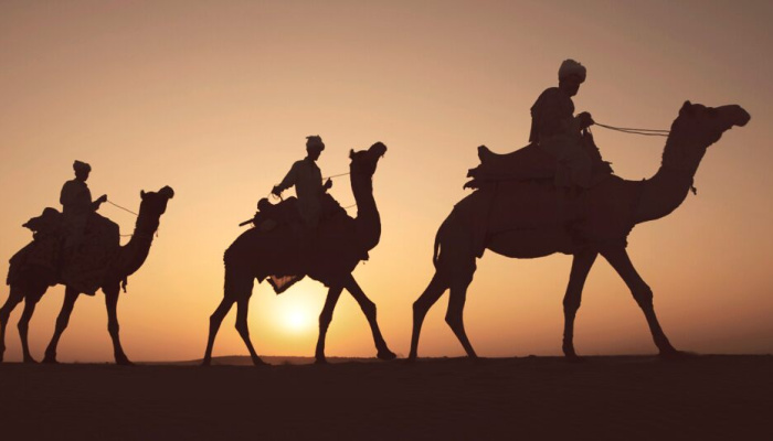 three wise men riding on camels for three kings day